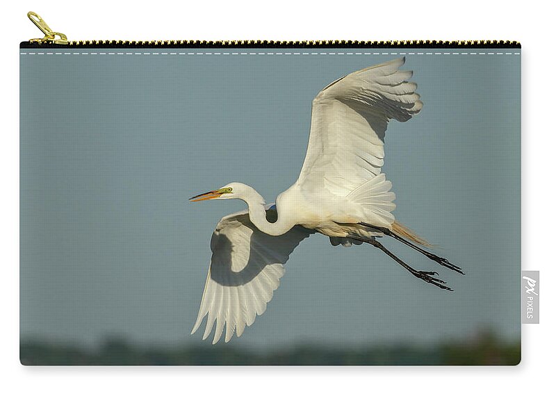 Great Egret Carry-all Pouch featuring the photograph Great Egret 2014-13 by Thomas Young