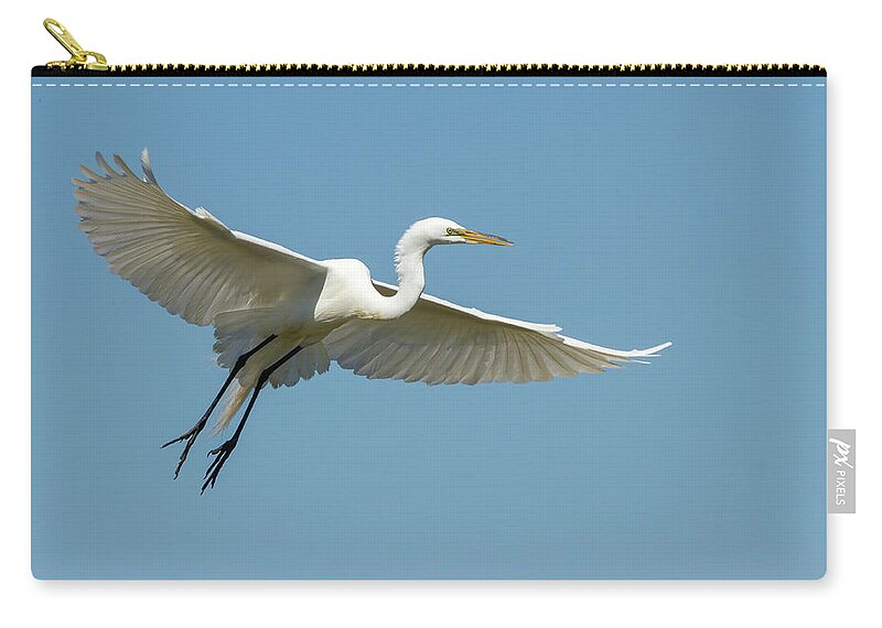 Great Egret Zip Pouch featuring the photograph Great Egret 2014-18 by Thomas Young