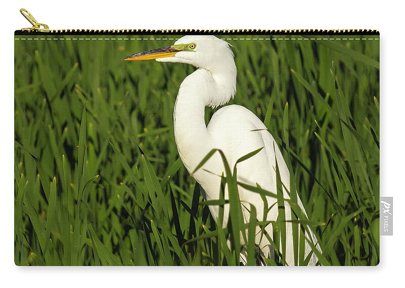 Great Egret Zip Pouch featuring the photograph Great Egret 2014-20 by Thomas Young