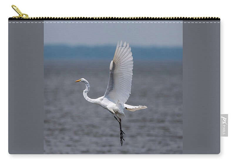 Bird Zip Pouch featuring the photograph Great Egret by Grant Twiss