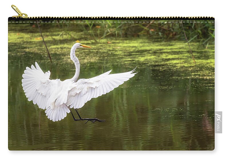 Bird Zip Pouch featuring the photograph Great Egret Landing - Crab Orchard Lake by Susan Rissi Tregoning