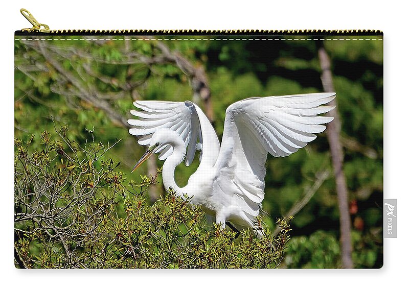 Bird Zip Pouch featuring the photograph Great Egret Landing by Kathy Baccari
