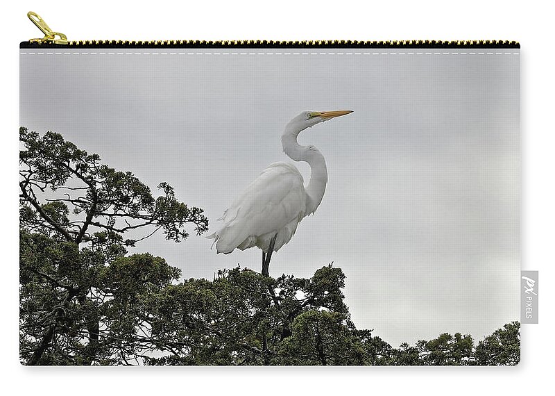 Great Egret Zip Pouch featuring the photograph White Egret Posed by Doolittle Photography and Art