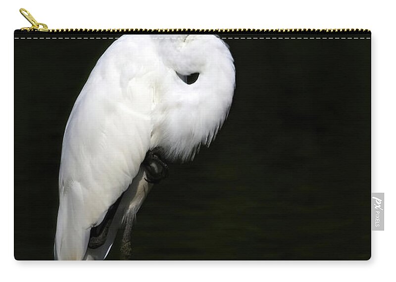 Great Egret Zip Pouch featuring the photograph Great Egret by Shixing Wen