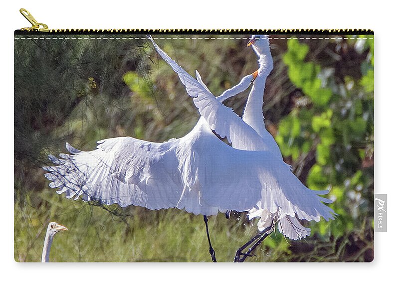 Great Egret Zip Pouch featuring the photograph Great Egrets 8224-060121-3 by Tam Ryan
