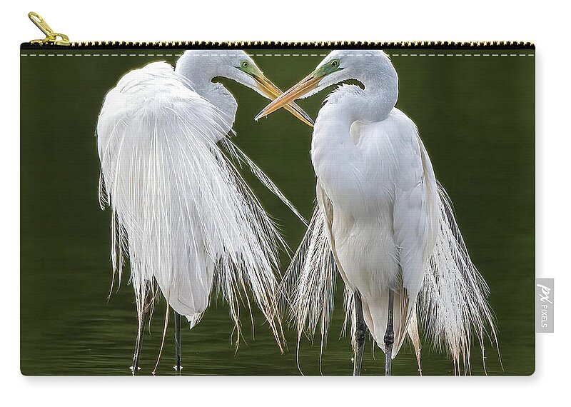 Great Egrets Zip Pouch featuring the photograph Great Egrets 8762-061922-3 by Tam Ryan