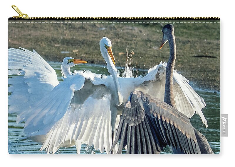 Great Egrets Zip Pouch featuring the photograph Great Egrets and Great Blue Heron Face-off 2718-070821-2 by Tam Ryan