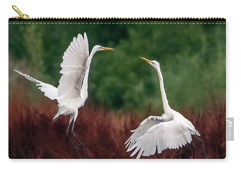 Great Egrets Zip Pouch featuring the photograph Great Egrets Face-off 3309-071621-3 by Tam Ryan