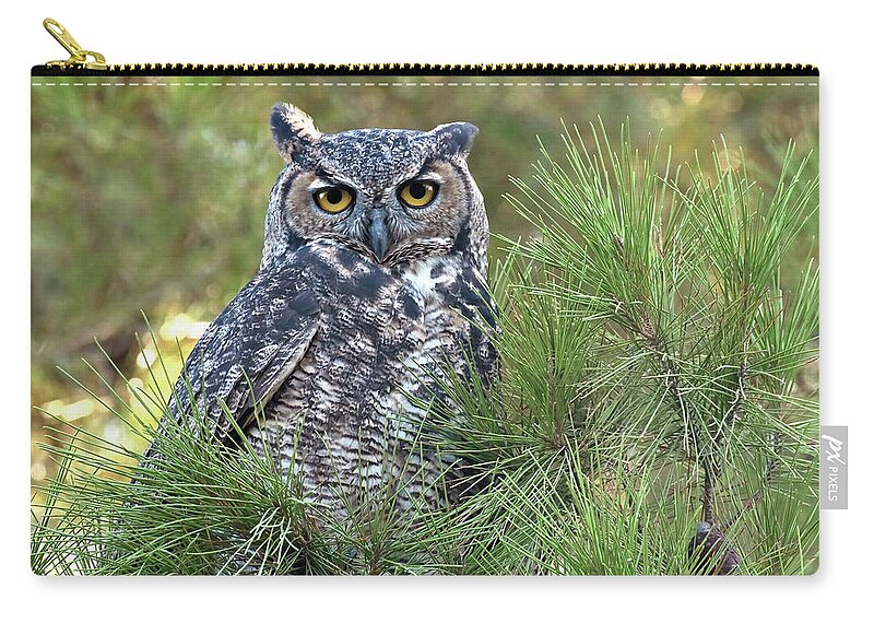  Zip Pouch featuring the photograph Great Horned Owl #1 by Carla Brennan