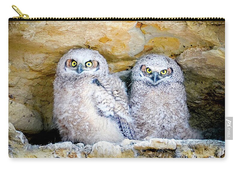 Great Horned Owl Zip Pouch featuring the photograph Great Horned Owl Cliff Nest by Judi Dressler
