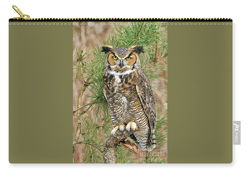 Ohio Photo Zip Pouch featuring the photograph Great Horned Owl Ohio by Teresa Jack
