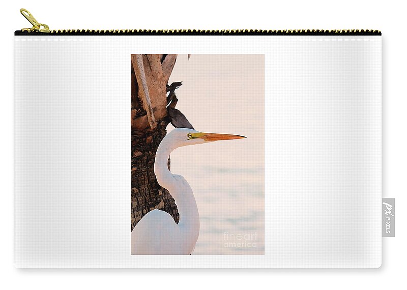 Great White Egret Zip Pouch featuring the photograph Great White Egret Standing by a Cabbage Palm Tree by Joanne Carey