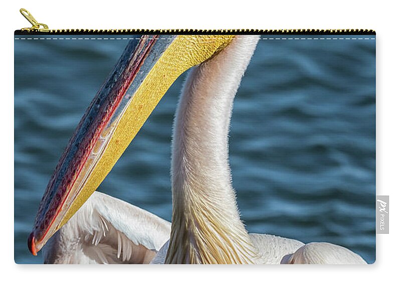 Great White Pelican Zip Pouch featuring the photograph Great White Pelican, Profile by Belinda Greb