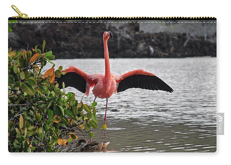 American Flamingo Carry-all Pouch featuring the photograph Greater Flamingo or American Flamingo - Galapagos by Henri Leduc