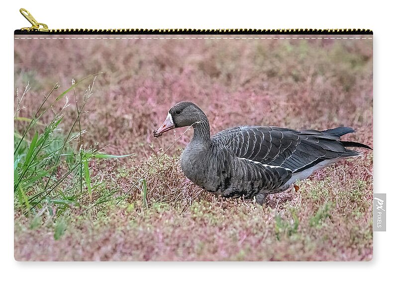 Greater White-fronted Goose Zip Pouch featuring the photograph Greater White-fronted Goose 2795-092023-2 by Tam Ryan