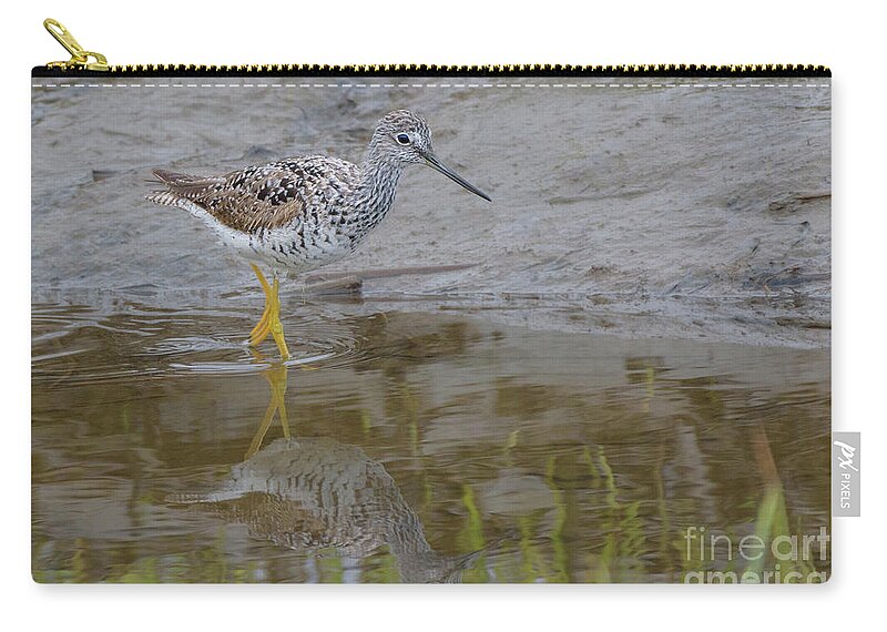 Greater Yellowlegs Zip Pouch featuring the photograph Greater Yellowlegs Wading in Skagit River Delta #1 by Nancy Gleason