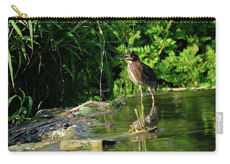 Birds Zip Pouch featuring the photograph Greem Heron 2 by Eric Hafner