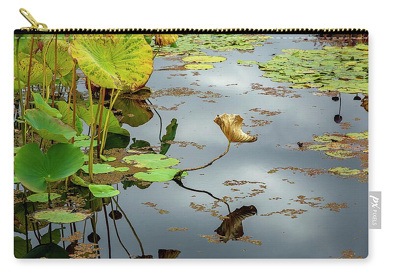 Pond Plants Zip Pouch featuring the photograph Green and Gold Pond Plants by Cate Franklyn