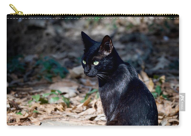 Cat Zip Pouch featuring the photograph Green Eyes by DArcy Evans