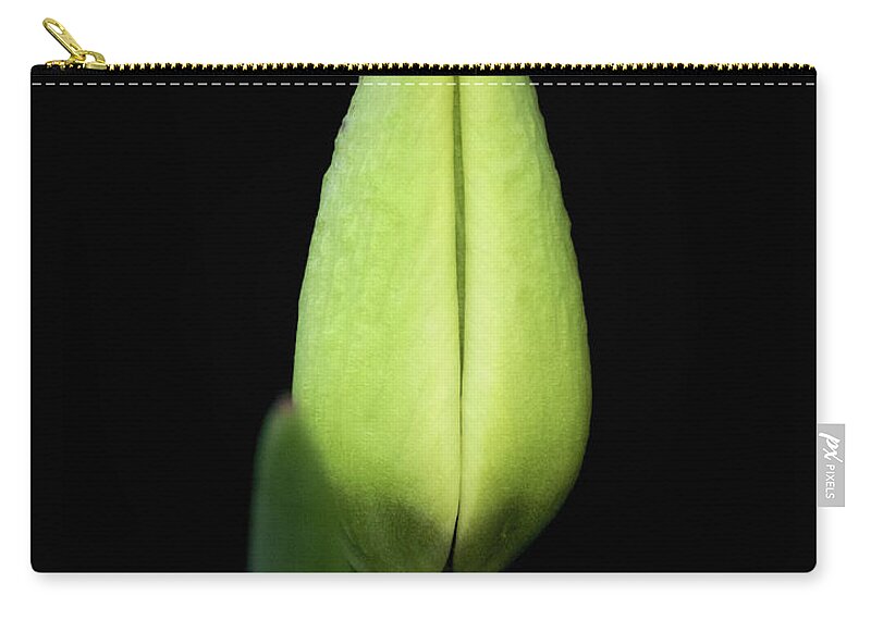 Tulip Zip Pouch featuring the photograph Green Immortality by Norma A Lahens