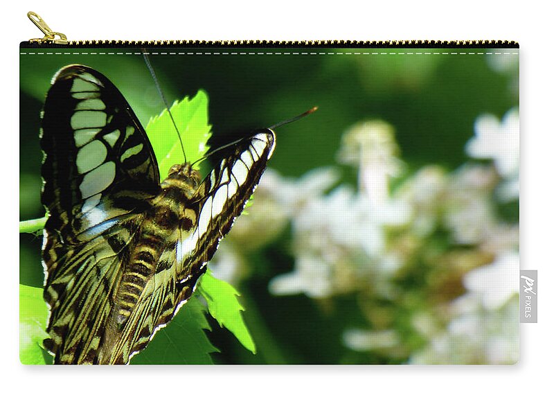 Orcinusfotograffy Zip Pouch featuring the photograph Green by Kimo Fernandez