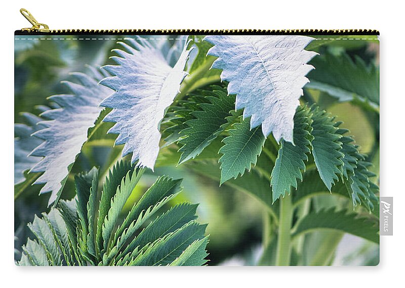 Green Zip Pouch featuring the photograph Green Leaf by Abigail Diane Photography