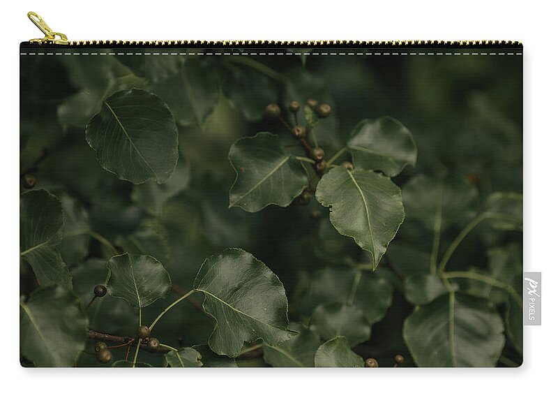 Leaf Zip Pouch featuring the photograph Green Leaves - Calming by Amelia Pearn