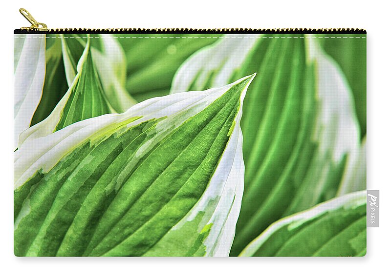 Green Leaves Zip Pouch featuring the photograph Green Leaves Nature Abstract by Christina Rollo