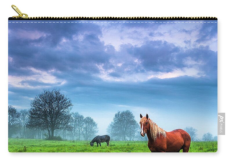 Fog Carry-all Pouch featuring the photograph Green Morn by Evgeni Dinev