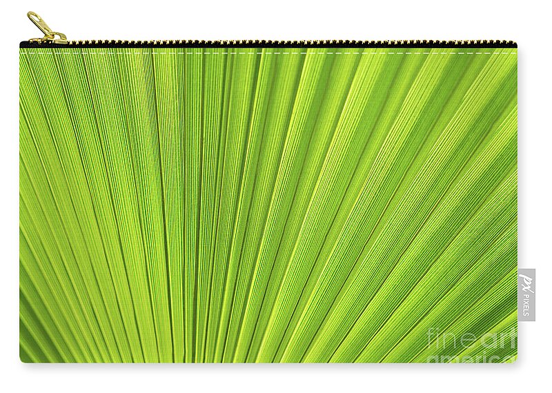 Palm Leaf Zip Pouch featuring the photograph Green palm leaf and mediterranean sunlight by Adriana Mueller