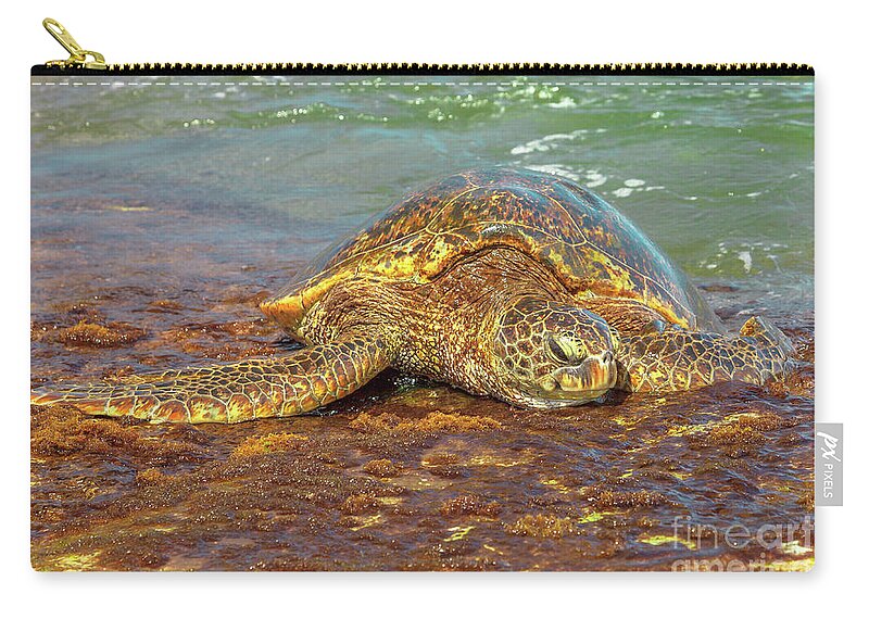 Green Sea Turtle Zip Pouch featuring the photograph Green Sea Turtle Hawaii by Benny Marty
