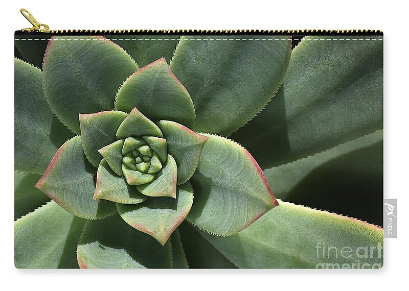 Joy Watson Zip Pouch featuring the photograph Green Shades Of Hens And Chicks by Joy Watson