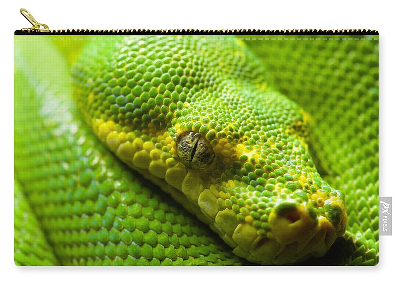 Green Tree Python Carry-all Pouch featuring the digital art Green tree python by Geir Rosset
