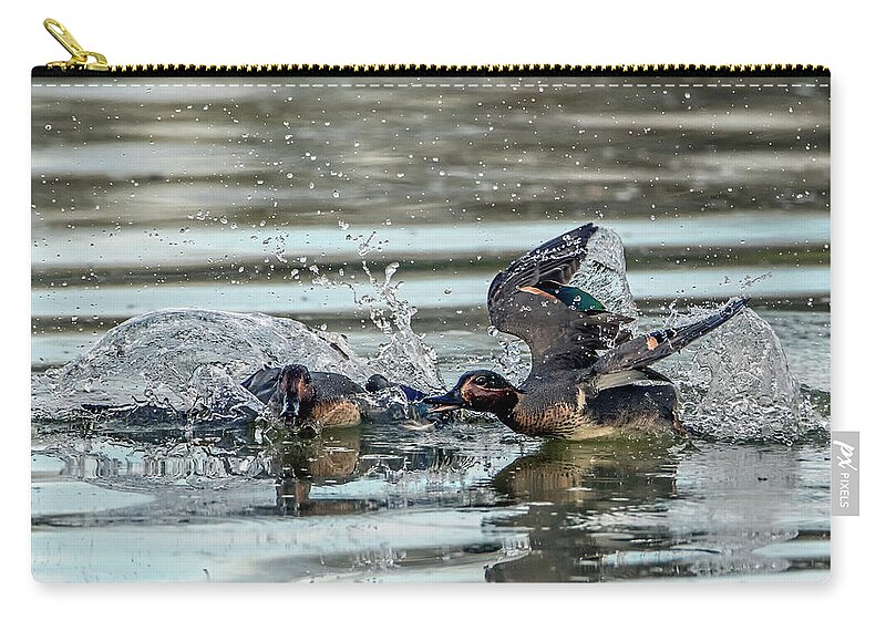 Green-winged Teal Zip Pouch featuring the photograph Green-winged Teal Chase 9985-020221-2 by Tam Ryan