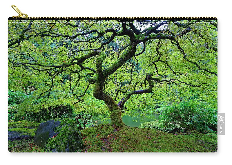 Japanese Maple Zip Pouch featuring the photograph Green With Envy by Jonathan Davison