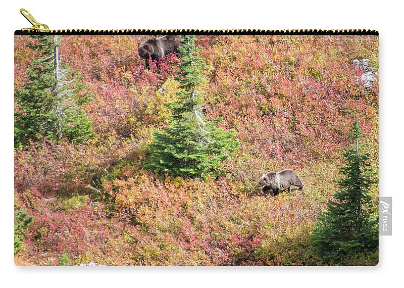 Bear Zip Pouch featuring the photograph Grizzly and Cub in Fall Colors by Alex Lapidus