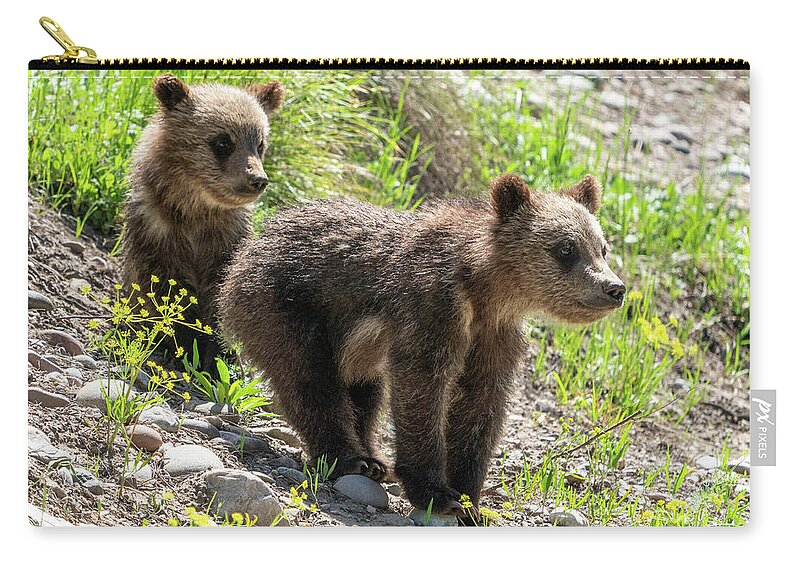 Grizzly Carry-all Pouch featuring the photograph Grizzly Bear Cubs by Wesley Aston