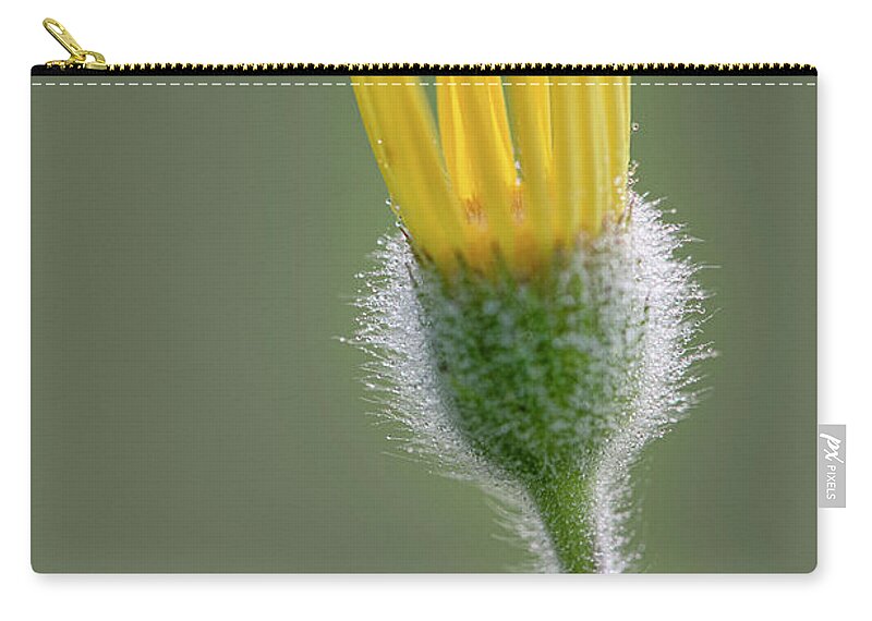 Groundsel Carry-all Pouch featuring the photograph Groundsel Flower by Karen Rispin