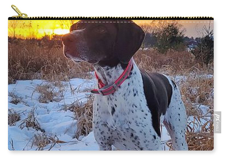 German Shorthaired Pointer Zip Pouch featuring the photograph GSP by Brook Burling