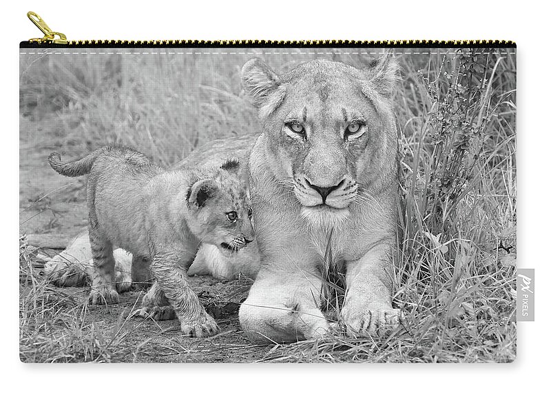 Lion Zip Pouch featuring the photograph Guardian in Black and White by Rebecca Herranen