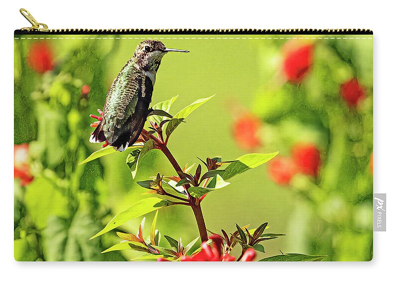 Hummingbird Zip Pouch featuring the photograph Guardian of the Blooms by Jerry Connally
