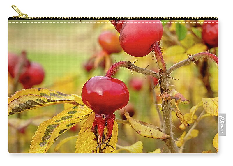 Halloween Carry-all Pouch featuring the photograph Halloween with a Rosehip. by Elena Perelman