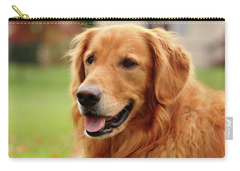Dog Zip Pouch featuring the photograph Handsome Golden by Lens Art Photography By Larry Trager