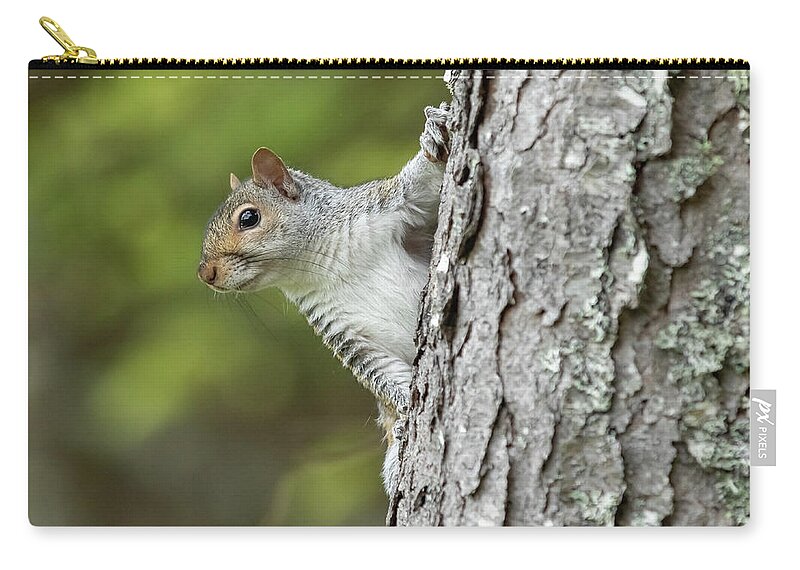 Squirrel Carry-all Pouch featuring the photograph Hang On by Holly Ross