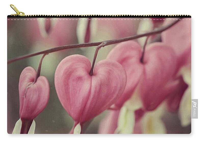 Hearts Zip Pouch featuring the photograph Hanging Hearts by Carrie Ann Grippo-Pike