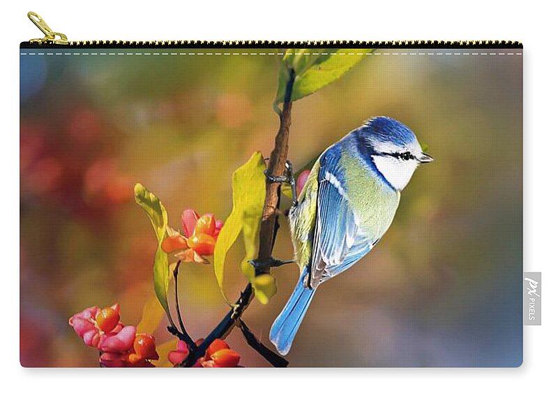 Blue Tit Zip Pouch featuring the mixed media Hanging On by Morag Bates