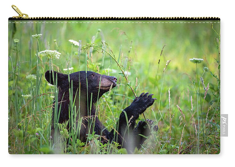 Great Smoky Mountains National Park Zip Pouch featuring the photograph Happy Black Bear by Robert J Wagner