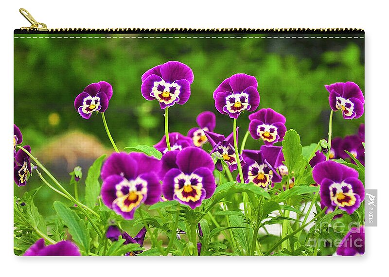 Pansies Zip Pouch featuring the photograph Happy Crowd by Kimberly Furey