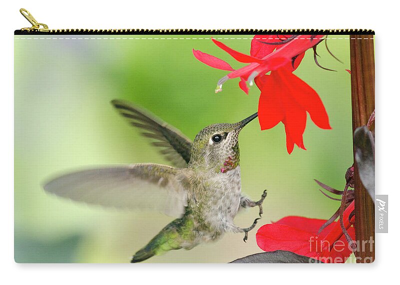 Kmaphoto Zip Pouch featuring the photograph Happy Feet by Kristine Anderson