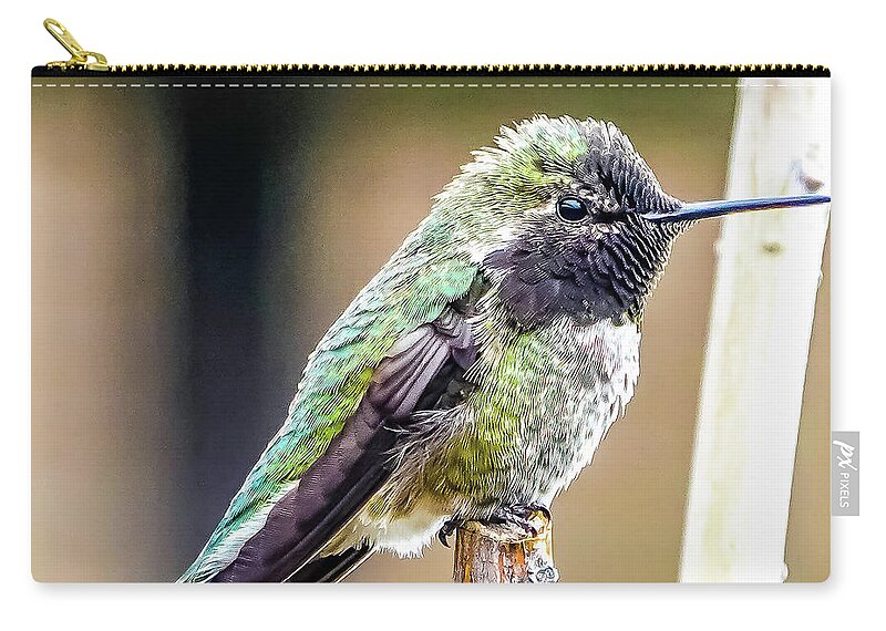 Hummingbird Zip Pouch featuring the photograph Happy Hummingbird by Shawn M Greener